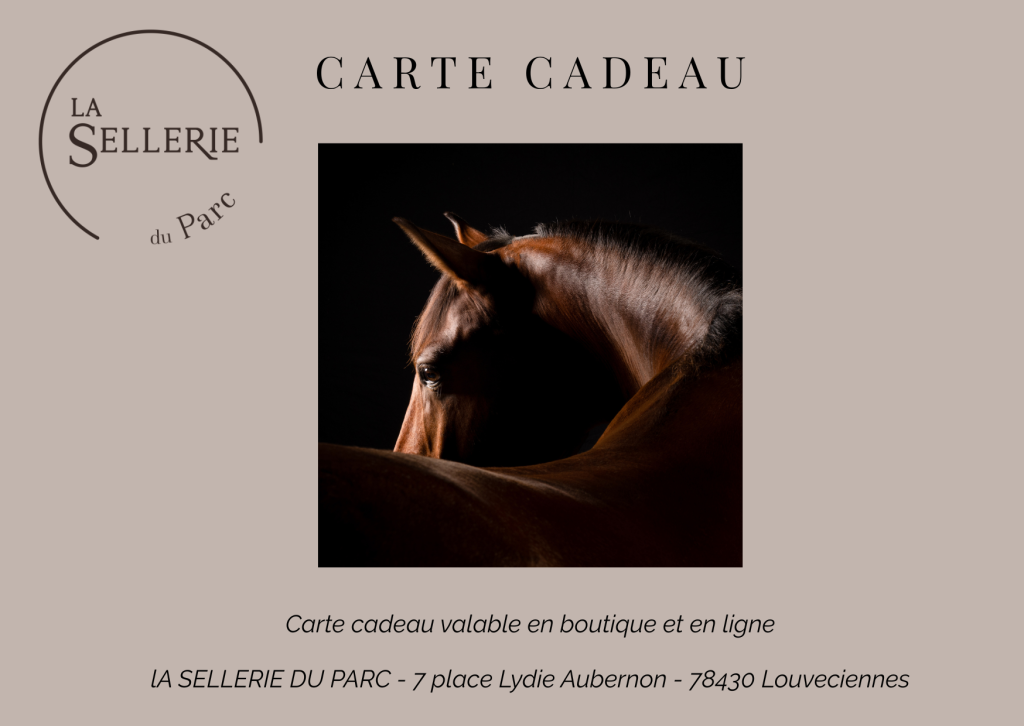 e-carte cadeau