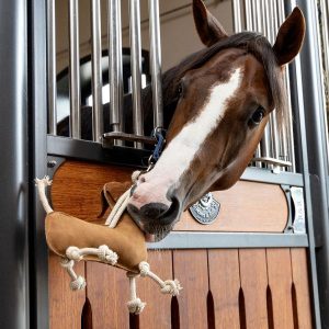 LEMIEUX - Jouet pour cheval Teckel
