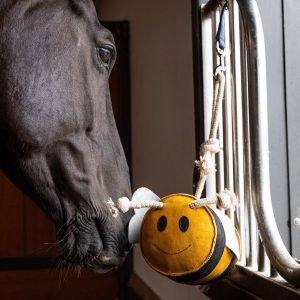 LEMIEUX - Jouet pour cheval Abeille