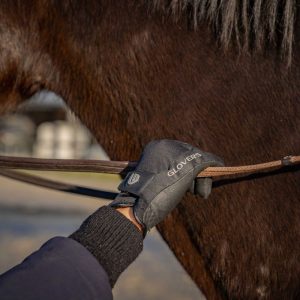 GLOVERS - Gants équitation hiver WINTER WINDPROOF